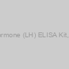 Human Luteinizing Hormone (LH) ELISA Kit, 96 tests, Quantitative
